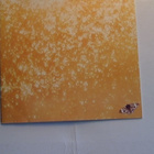 MICHAEL FRANKS :: SLEEPING GYPSY :: CD ALBUM 1977 - pikkukuva 1