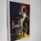 Andre Brink : Pirunlaakso - pikkukuva 1
