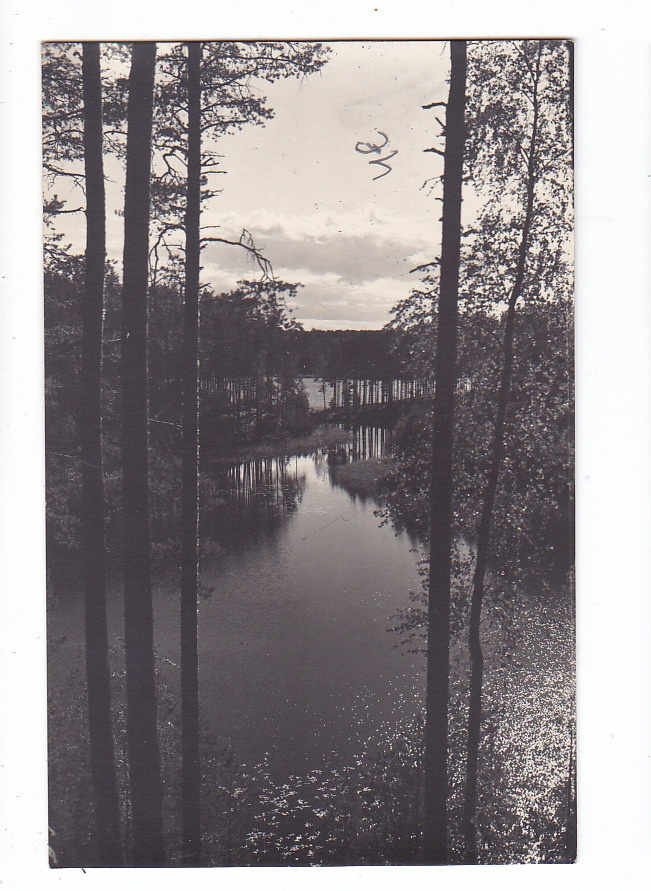 VANHA Postikortti Punkaharju 1930-l