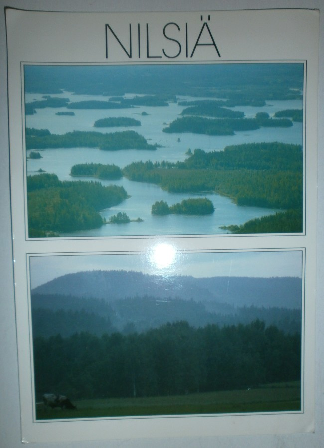 Nilsiä, kaksikuvainen isohko pk, p. 1994