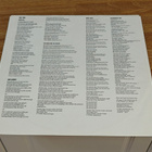Suzanne Vega LP - pikkukuva 3