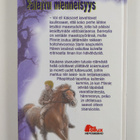 Maggie Mundy : Vaiettu menneisyys - pikkukuva 2