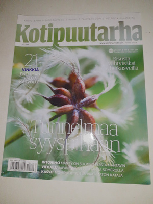Kotipuutarha 10/2019