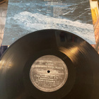 Ismo Alanko: Kun Suomi putos puusta 1990 LP - pikkukuva 2
