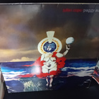 2LP Julian Cope : peggy suicide ( SIS POSTIKULU ) - pikkukuva 1