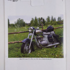 Huimapyörä 3 / 2010 - pikkukuva 2