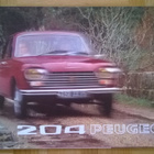 Esite Peugeot 204, 1973 - pikkukuva 1
