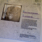 NATALIE COLE :: WILD WOMEN DO :: VINYYLI  7"   1990 - pikkukuva 2