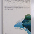 Daphne Du Maurier : Talo rannalla - pikkukuva 2