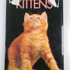 Pat Taylor : Kittens - pikkukuva 2