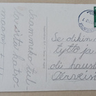 Poika ja possu juoksevat, Uusi Vuosi, p. 1947 - pikkukuva 2