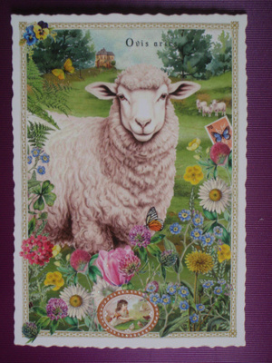 Lammas kukkien keskellä