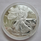 USA 1 dollar 2013 PROOF Replika - pikkukuva 1