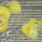 Sirkka Santapukki: Oivallus - pikkukuva 3