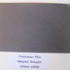 VANHA Postikortti Lieto Pokkola 1920-l - pikkukuva 3