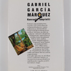 Gabriel Garcia Marquez : Kenraalin labyrintti - pikkukuva 2