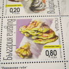 Bulgaria 2004: pienoisarkki - kääpäsienet - pikkukuva 5