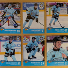 2024-25 Blueline Series 1 Pelicans Team Set 12 korttia - pikkukuva 1