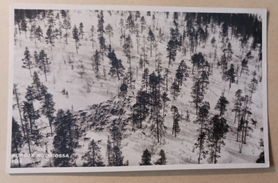 Muonio N:o 1140, poroja, Velj. Karhumäki, p. 1947