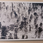 Muonio N:o 1140, poroja, Velj. Karhumäki, p. 1947 - pikkukuva 1