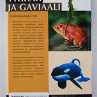 Gerard (toim.) Cheshire : Tiikeri ja gaviaali : eläinsana... - pikkukuva 2