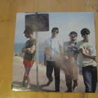BLACK LIPS - GOOD BAD NOT EVIL lp - pikkukuva 4