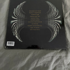 Pearl jam dark matter LP - pikkukuva 2
