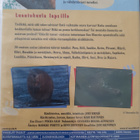 VIKKELÄT TASSUT DVD UUSI - pikkukuva 2