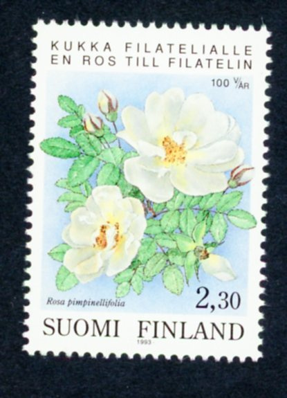 1993 Järjestäytynyt Filatelia Suomessa 100 vuotta  **