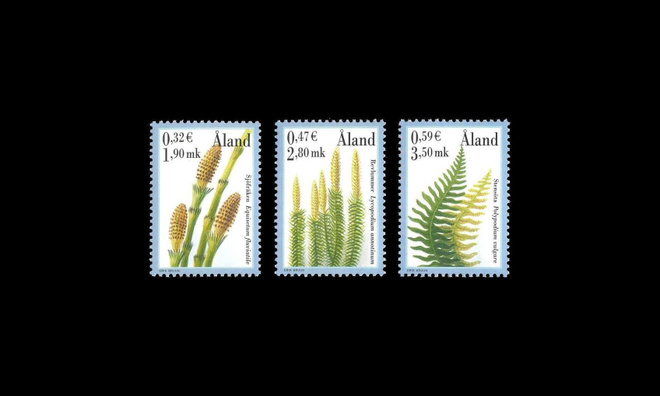187-9 ** Itiökasveja (2001)