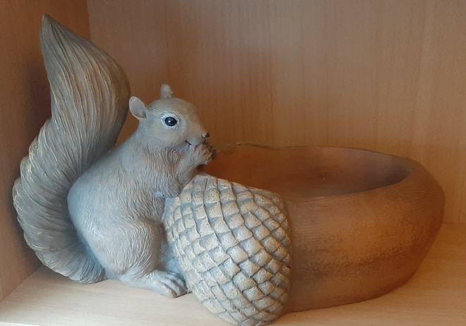 Uusi kulho orava tammenterho finnmari