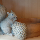 Uusi kulho orava tammenterho finnmari - pikkukuva 1