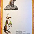 Isoäidin Satuja Tammi. Lasten kultainen kirjasto. 1978 - pikkukuva 5