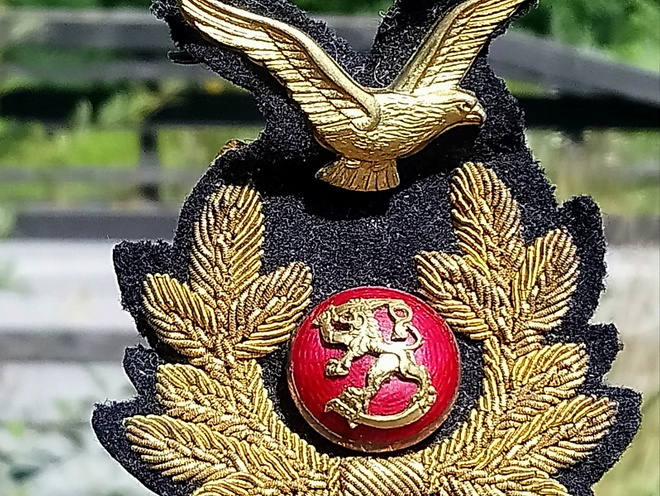 SA-ilmailukokardi. Ehjät laattapiikit. Kokardin koko: 83 mm.