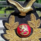 SA-ilmailukokardi. Ehjät laattapiikit. Kokardin koko: 83 mm. - pikkukuva 1