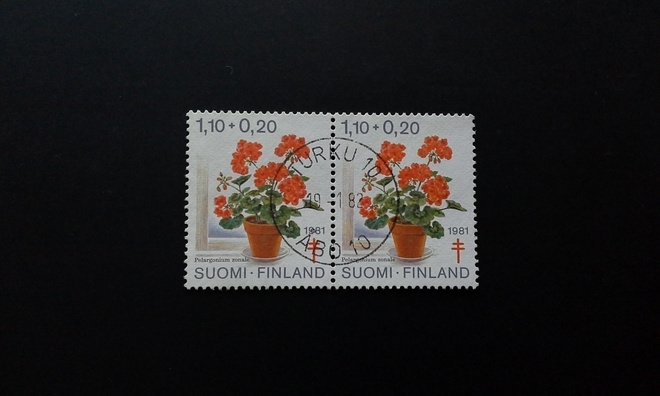 1,10+0,20mk TUB 1981 pari Turku leimalla, Lape 885