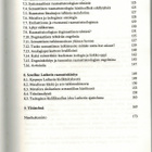 Myllykoski & Saarinen: Kieli ja kokemus - pikkukuva 4