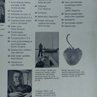Kotiliesi No 14 heinäkuu 1971 - pikkukuva 2