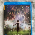 Benh Zeitlin: Beasts of the Southern Wild (blu-ray) - pikkukuva 1