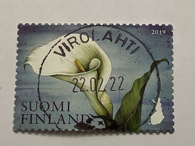 2636/ 2019 Kalla o leimattu loisto