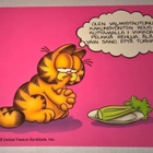 KARVINEN POSTIKORTTI GARFIELD 1978 - pikkukuva 1