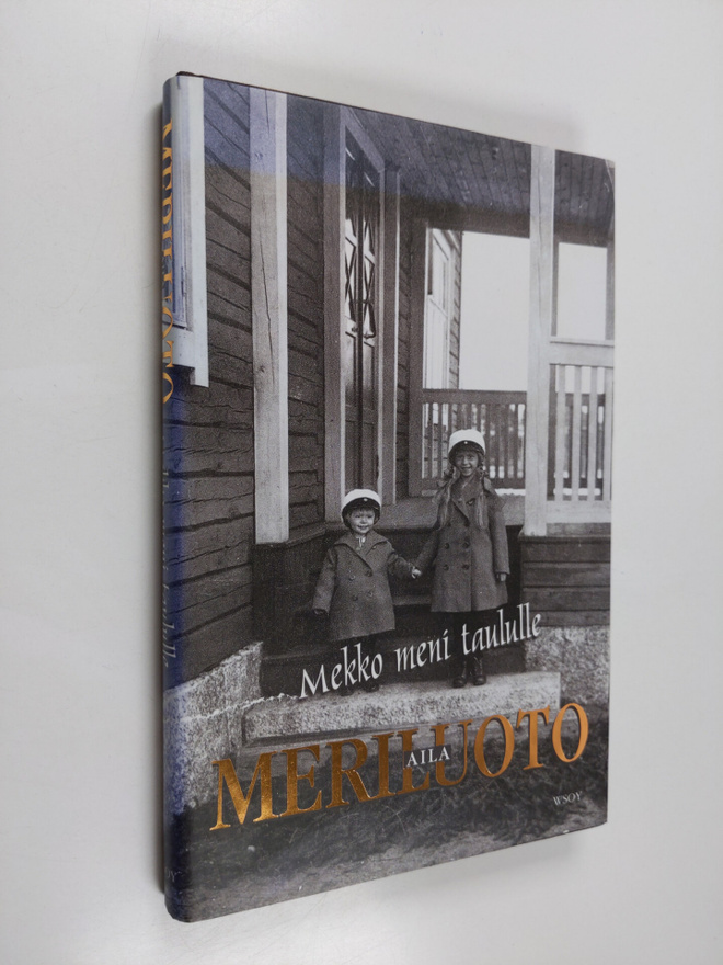 Aila Meriluoto : Mekko meni taululle