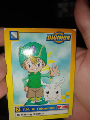 T.K. & Tokomon 10/34 Digimon Trading Card