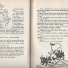 Hämeranta: Veikeät vekkulit Nöh ja Nimetön, 1958, tek.omiste - pikkukuva 2