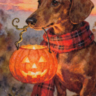 Halloween mäyräkoira ja kurpitsalamppu - pikkukuva 1