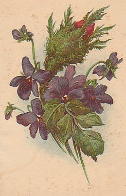 Postikortti, ONNITTELUKORTTI, vanha