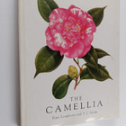 T. J. Savige : The camellia : fifty-three paintings by Pe... - pikkukuva 1