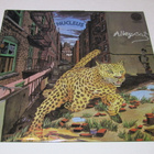 *LP* NUCLEUS Alleycat - pikkukuva 1