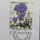 Erik.leima-Primavera, Lahden Taidemuseo, 1996, kulkenut - pikkukuva 2