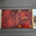 PC DVD: Age of CONAN: Hyborian Adventures peli (2008) - pikkukuva 4